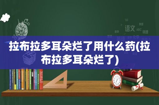 拉布拉多耳朵烂了用什么药(拉布拉多耳朵烂了)