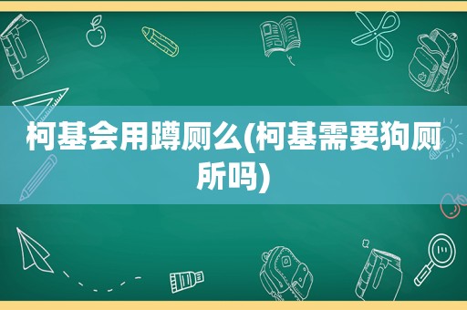 柯基会用蹲厕么(柯基需要狗厕所吗)