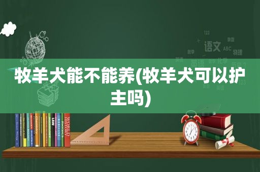 牧羊犬能不能养(牧羊犬可以护主吗)