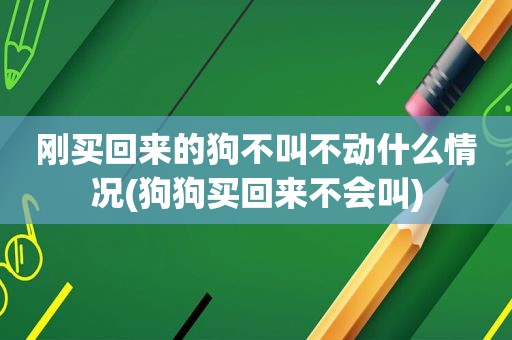 刚买回来的狗不叫不动什么情况(狗狗买回来不会叫)