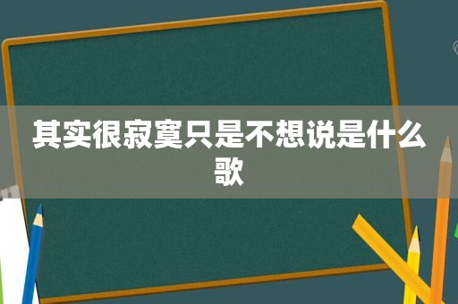 其实很寂寞只是不想说是什么歌