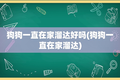 狗狗一直在家溜达好吗(狗狗一直在家溜达)