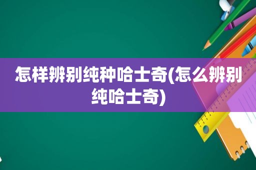 怎样辨别纯种哈士奇(怎么辨别纯哈士奇)