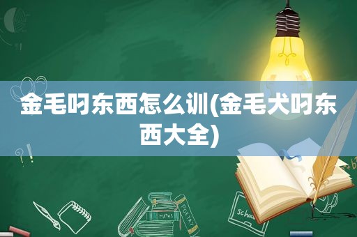 金毛叼东西怎么训(金毛犬叼东西大全)