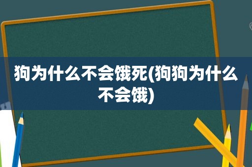 狗为什么不会饿死(狗狗为什么不会饿)