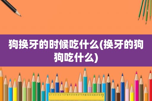 狗换牙的时候吃什么(换牙的狗狗吃什么)