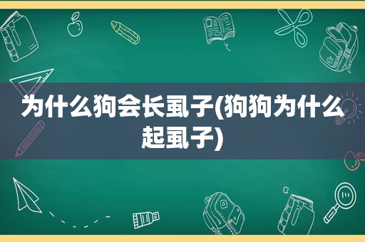 为什么狗会长虱子(狗狗为什么起虱子)