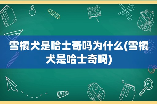 雪橇犬是哈士奇吗为什么(雪橇犬是哈士奇吗)