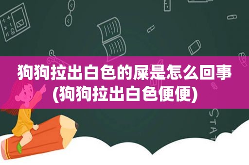 狗狗拉出白色的屎是怎么回事(狗狗拉出白色便便)