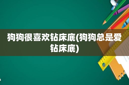 狗狗很喜欢钻床底(狗狗总是爱钻床底)