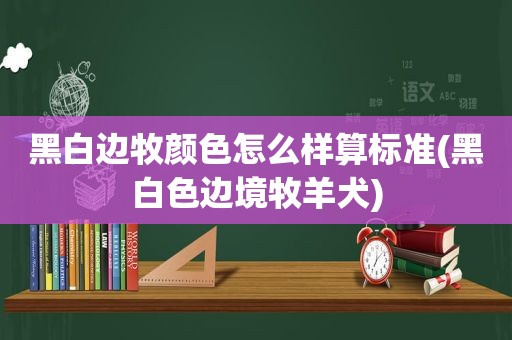 黑白边牧颜色怎么样算标准(黑白色边境牧羊犬)