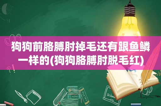 狗狗前胳膊肘掉毛还有跟鱼鳞一样的(狗狗胳膊肘脱毛红)