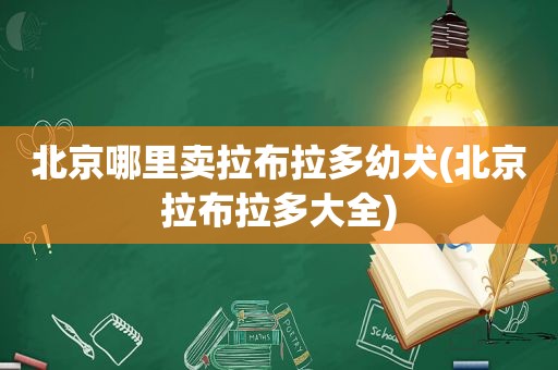 北京哪里卖拉布拉多幼犬(北京拉布拉多大全)