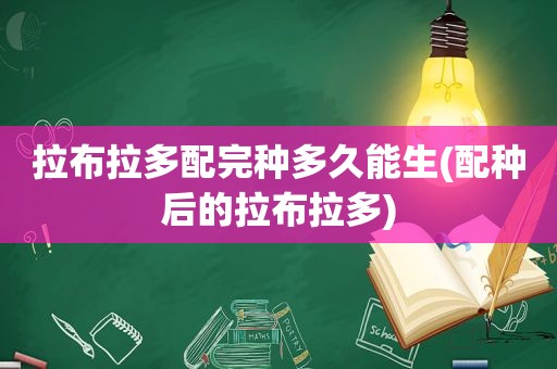 拉布拉多配完种多久能生(配种后的拉布拉多)