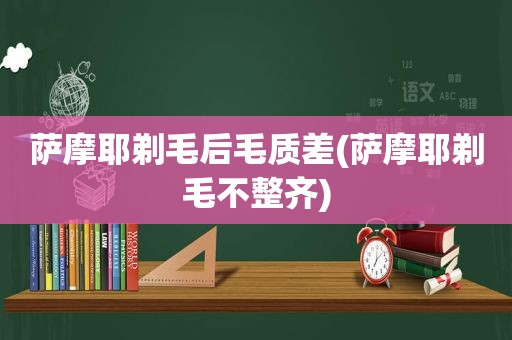 萨摩耶剃毛后毛质差(萨摩耶剃毛不整齐)