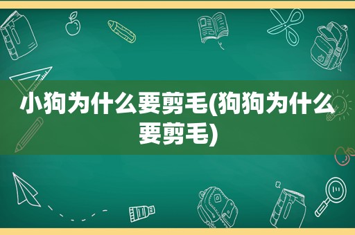 小狗为什么要剪毛(狗狗为什么要剪毛)