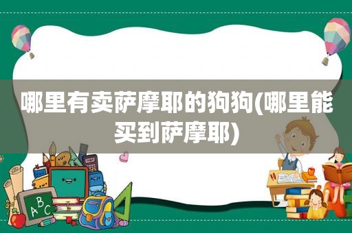 哪里有卖萨摩耶的狗狗(哪里能买到萨摩耶)