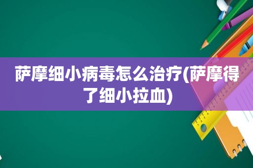 萨摩细小病毒怎么治疗(萨摩得了细小拉血)