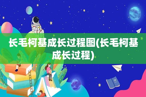 长毛柯基成长过程图(长毛柯基成长过程)