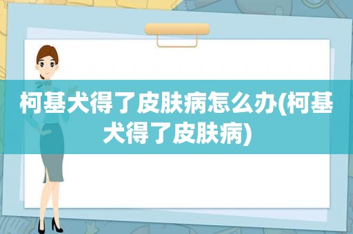 柯基犬得了皮肤病怎么办(柯基犬得了皮肤病)  第1张