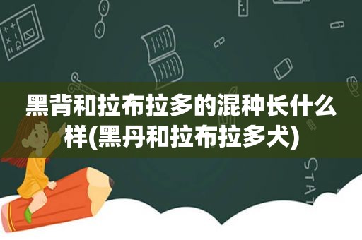 黑背和拉布拉多的混种长什么样(黑丹和拉布拉多犬)  第1张