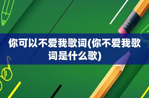 你可以不爱我歌词(你不爱我歌词是什么歌)