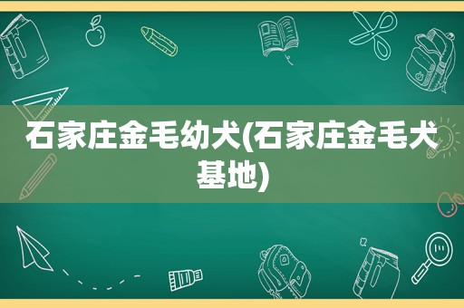 石家庄金毛幼犬(石家庄金毛犬基地)