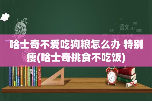 哈士奇不爱吃狗粮怎么办 特别瘦(哈士奇挑食不吃饭)