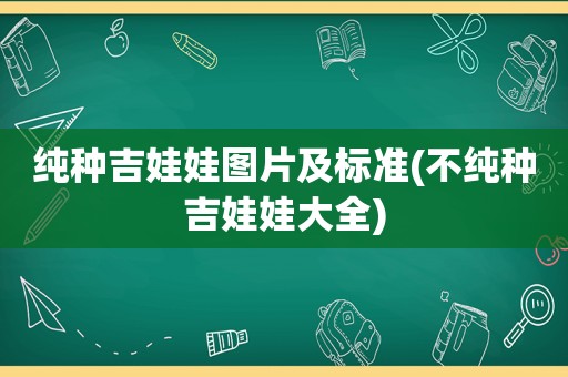 纯种吉娃娃图片及标准(不纯种吉娃娃大全)