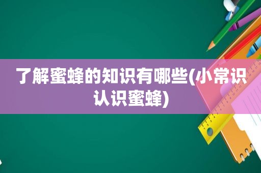 了解蜜蜂的知识有哪些(小常识认识蜜蜂)