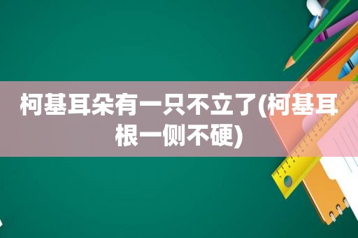 柯基耳朵有一只不立了(柯基耳根一侧不硬)