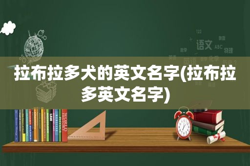 拉布拉多犬的英文名字(拉布拉多英文名字)