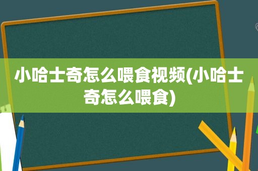 小哈士奇怎么喂食视频(小哈士奇怎么喂食)