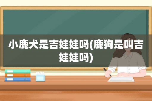 小鹿犬是吉娃娃吗(鹿狗是叫吉娃娃吗)