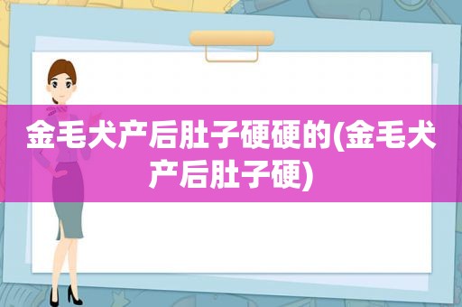 金毛犬产后肚子硬硬的(金毛犬产后肚子硬)