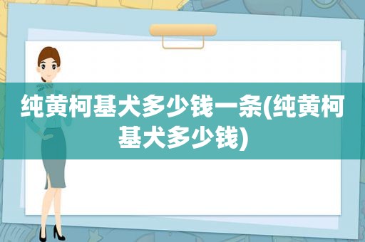 纯黄柯基犬多少钱一条(纯黄柯基犬多少钱)