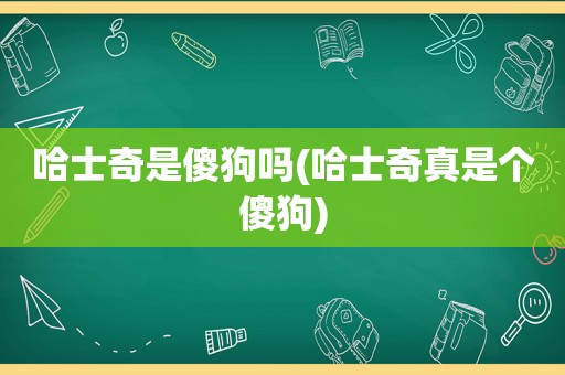 哈士奇是傻狗吗(哈士奇真是个傻狗)