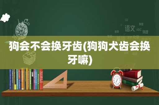 狗会不会换牙齿(狗狗犬齿会换牙嘛)