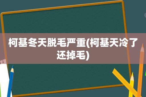 柯基冬天脱毛严重(柯基天冷了还掉毛)