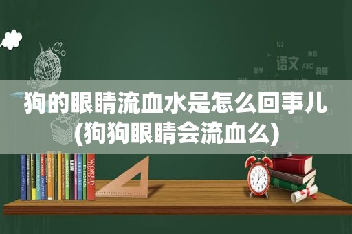 狗的眼睛流血水是怎么回事儿(狗狗眼睛会流血么)