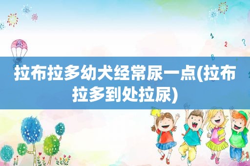 拉布拉多幼犬经常尿一点(拉布拉多到处拉尿)