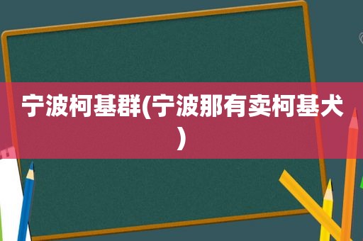 宁波柯基群(宁波那有卖柯基犬)