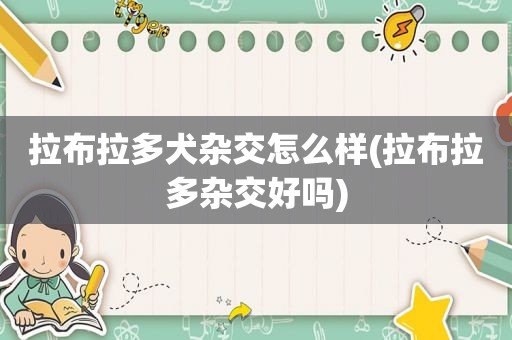 拉布拉多犬杂交怎么样(拉布拉多杂交好吗)