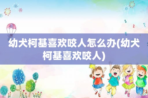 幼犬柯基喜欢咬人怎么办(幼犬柯基喜欢咬人)