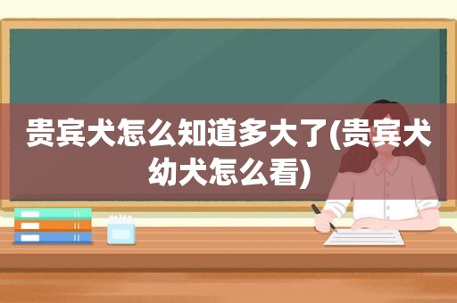 贵宾犬怎么知道多大了(贵宾犬幼犬怎么看)