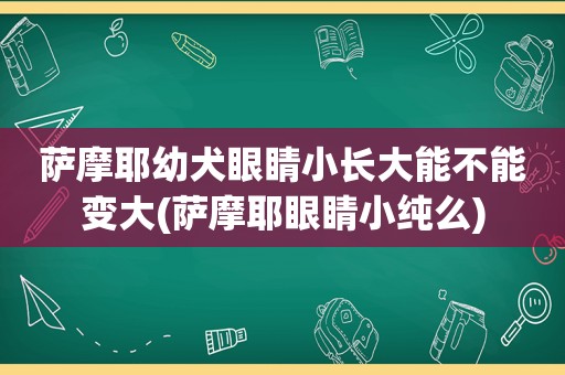 萨摩耶幼犬眼睛小长大能不能变大(萨摩耶眼睛小纯么)