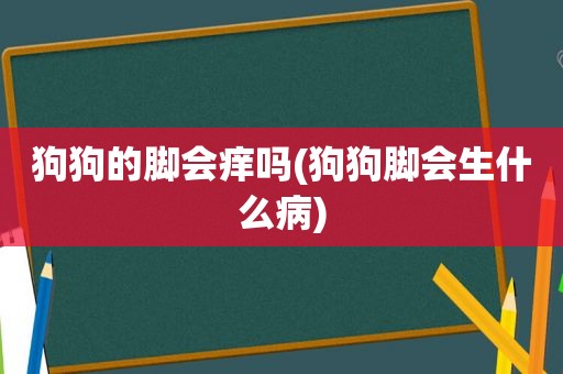 狗狗的脚会痒吗(狗狗脚会生什么病)