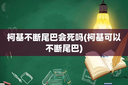 柯基不断尾巴会死吗(柯基可以不断尾巴)