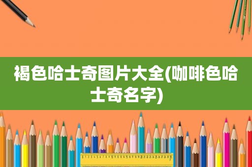 褐色哈士奇图片大全(咖啡色哈士奇名字)