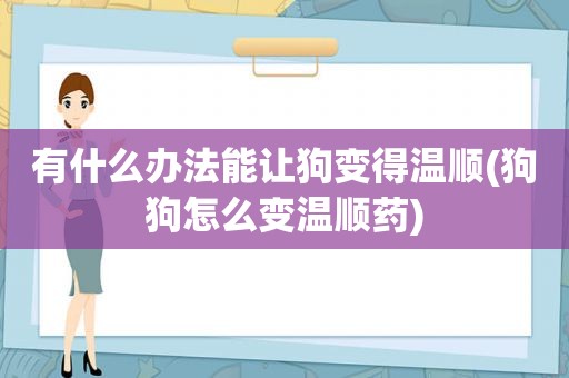 有什么办法能让狗变得温顺(狗狗怎么变温顺药)